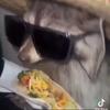 Profile Picture of Andrew Jolly (@ykandrew13) on Tiktok