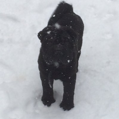 Profile Picture of Jonathan Delorme (@djsmicky) on Twitter