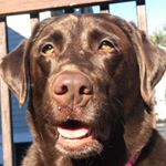 Profile Picture of ♡︎ Lucy ♡︎ (@lucladd) on Instagram