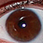 Profile Picture of Stefano Goffredo (@goffste) on Flickr