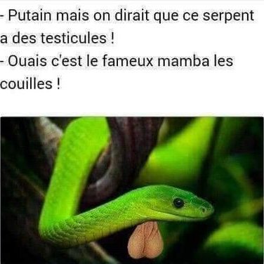 Profile Picture of Thomas Ruppé (@thomas_ruppe) on Twitter