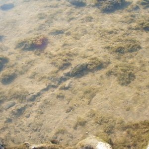 Profile Picture of Mark.Fenwick (@MarkFen19853832) on Twitter