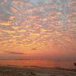 Profile Picture of mark ridenour (@mark.riden) on Instagram