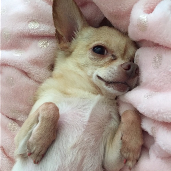 Profile Picture of Gabriella Chavez (@gab_ari) on Poshmark