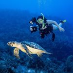 Profile Picture of Krissy Iiams (@scubadivinggirl) on Instagram