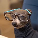 Profile Picture of Jake Brinkman (@thatguyinflat4) on Instagram