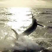 Profile Picture of Kevin Alexander (@kevina1015) on Youtube