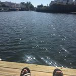 Profile Picture of Sebastian Taravella (@sebbee34) on Instagram