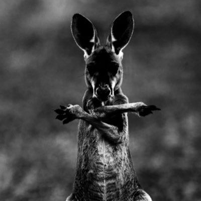 Profile Picture of AlexSoo (@AlexSoo60681745) on Twitter