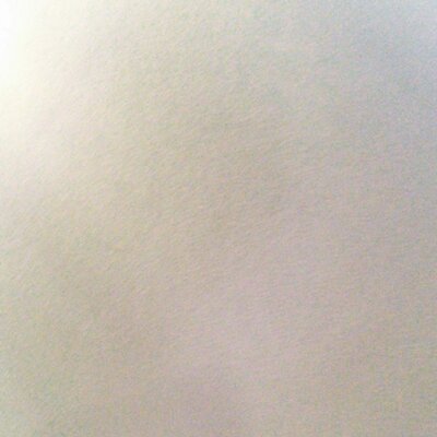 Profile Picture of Nancy Licea (@nancyofficia) on Twitter