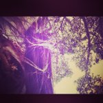 Profile Picture of Roberta Tanner (@sonairfreezing) on Instagram