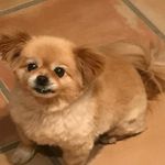 Profile Picture of Karlene Kutzer Nelson (@kutzernelson) on Instagram