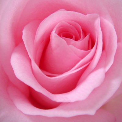 Profile Picture of Manisha Dixit (@DixitManisha1) on Twitter