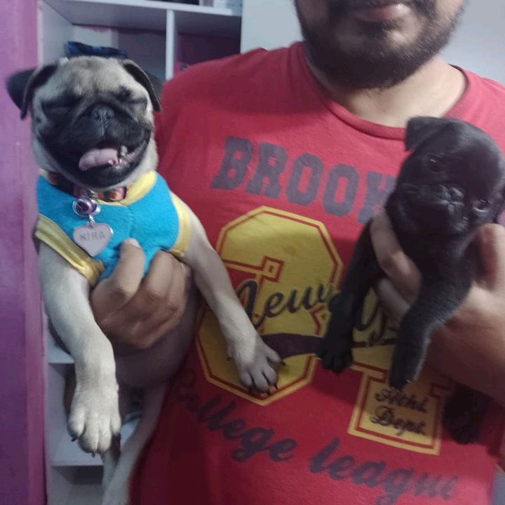 Profile Picture of Kiraland y Kokoland (@victorpalafox05) on Tiktok