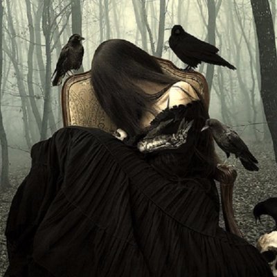 Profile Picture of MagistersRaven (@magistersraven) on Twitter