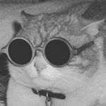 Profile Picture of Buddy Holly (@buddy.holly22) on Instagram