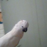 Profile Picture of Ginette Blais (@ginette-blais-1) on Quora