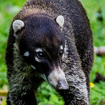 Profile Picture of Daniel Stange (@daniel stange) on Flickr