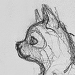 Profile Picture of Thea Belanger-polak (@taylor.durden) on Flickr