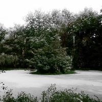 Profile Picture of Dawn Carter (@dawn-carter-20) on Quora