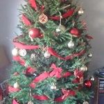 Profile Picture of Tara Brett (@tara.brett) on Instagram