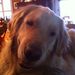 Profile Picture of Kevin Contessa (@kevincontessa) on Pinterest