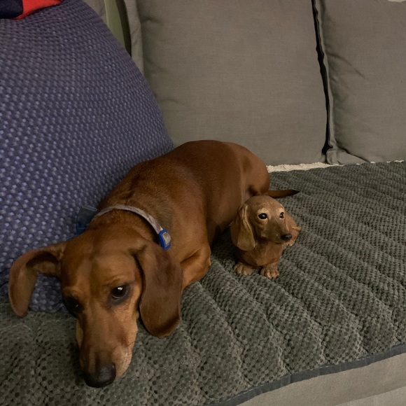 Profile Picture of Tyler Mcintyre (@tyler_mcintyre) on Poshmark