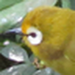 Profile Picture of Duane C. Gray's Pics (@Duane C. Gray's Pics) on Flickr