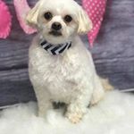 Profile Picture of Pamela Elliott Dunham (@pamelaelliottdunham) on Instagram