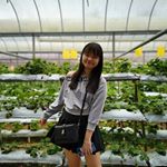 Profile Picture of Lee Xin Wong (@lee_xin_wong) on Instagram