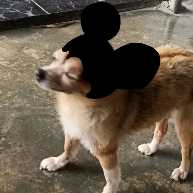 Profile Picture of James (Nampun) (@jamespun32) on Tiktok