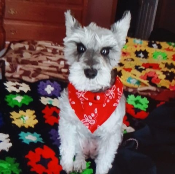 Profile Picture of Clint Garver (@trappercg) on Poshmark