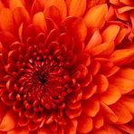 Bahman Rezapour - Facebook Profile Picture of Bahman Rezapour (@bahman.rezapour) on Facebook