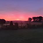 Profile Picture of Robin Gerdes (@Robin-Gerdes) on Facebook