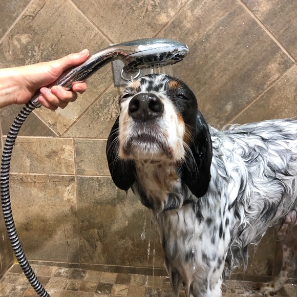 Profile Picture of Lucy Baldwin (@lucy_baldwin) on Poshmark