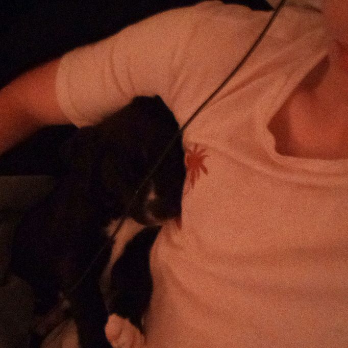 Profile Picture of robert wold (@robertwoldd) on Tiktok