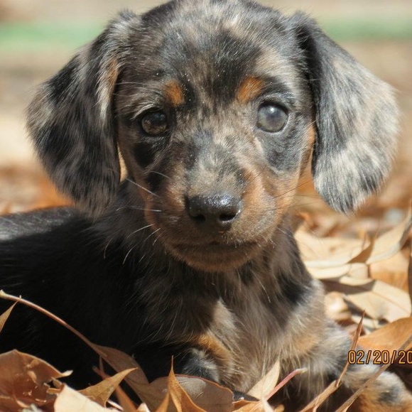 Profile Picture of Nicholas Storey (@nicholasstorey) on Poshmark