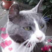 Profile Picture of Thomas Brammer (@thomasbrammer8283) on Youtube