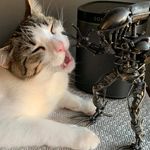 Profile Picture of Gina Frey (@gfrenchfrey) on Instagram