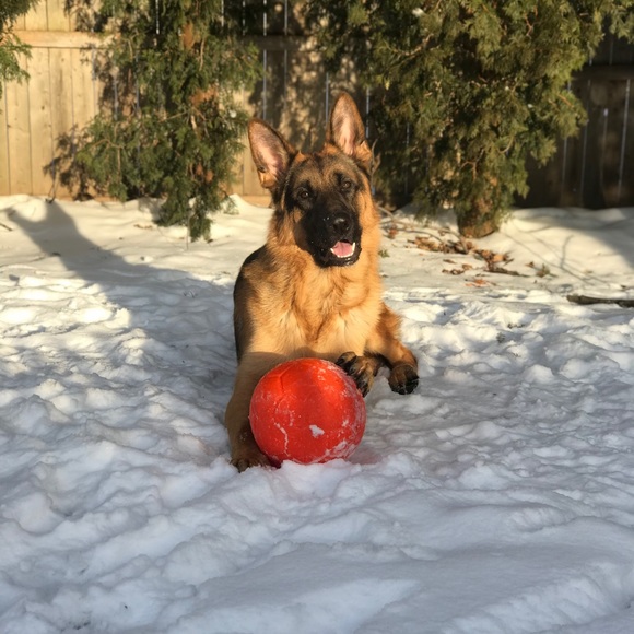 Profile Picture of Madison Raforth (@madison11377) on Poshmark