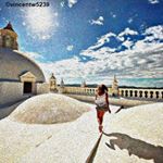 Profile Picture of Cindy Vincent (@vincentw5239) on Instagram