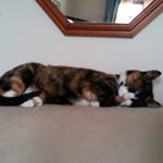 Profile Picture of Penny Conboy-thomas (@penstat53) on Instagram