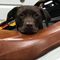 Profile Picture of Chris Gordon (@chris.gordon.73113528) on Facebook