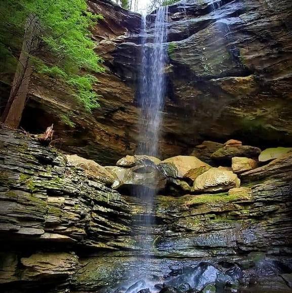 Profile Picture of Carol Guerry (@carolguerry) on Poshmark