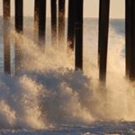 Profile Picture of Debbie Bernal (@homecl2) on Instagram