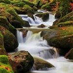 Profile Picture of Aura Espinal (@aura.espinal.77) on Instagram