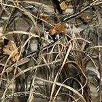 Profile Picture of libby byrd (@libbybyrd) on Instagram