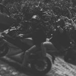 Profile Picture of Robin (@kaeppschee) on Instagram