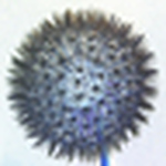 Profile Picture of Paul Russell (@Pauly R.) on Flickr