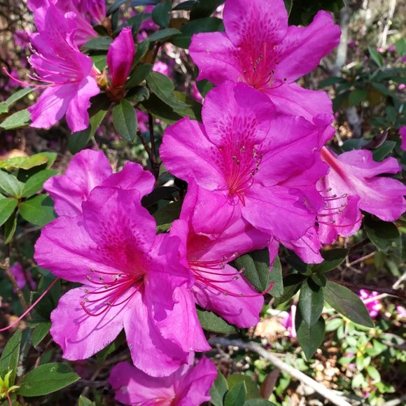 Kathy Lungren - Poshmark Profile Picture of Kathy Lungren (@kathylungren) on Poshmark